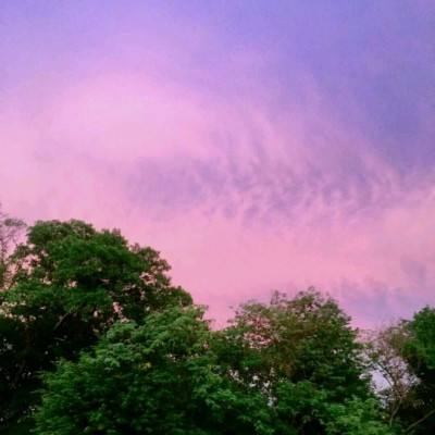 开运·kaiyun手机app下载