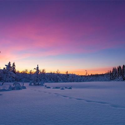 网信彩票-用户登录