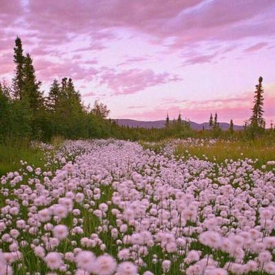 极速飞艇平台 63o 6967