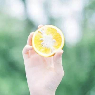 星空体育2024下载app下载