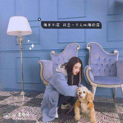 半岛手机网页版登录入口